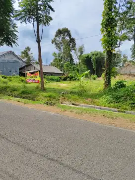 tanah cocok untuk gudang cocok untuk perumahan cocok untuk cafe