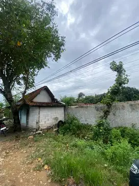 Tanah pekarangan sudah tembok