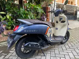 Jual Cepat Honda Scoopy Fashion Blue th 2021!!!