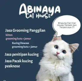 Jasa Grooming kucing