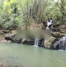 Tanah los tebing air terjun, view jungle dan sawah di Tabanan