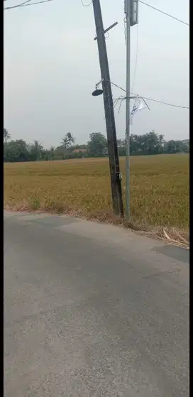 Tanah sawah SHM ,daerah pabrik di sepatan , tangerang