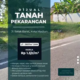 DİJUAL TANAH LUAS Dİ JALAN SALAK, İDEAL UNTUK PERUMAHAN