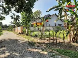 Dijual Tanah Murah Siap Bangun di Kalirejo - Banyuwangi