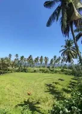 Tanah Ocean View Pantai Balian Tabanan Bali