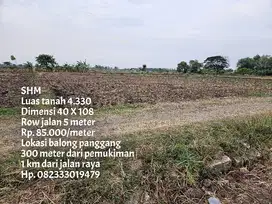 Tanah pertanian nol jalan dess 85 ribu/meter