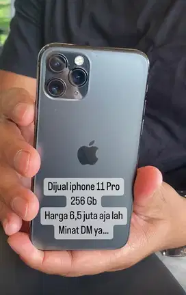 Dijual IPhone 11 pro 256 gb