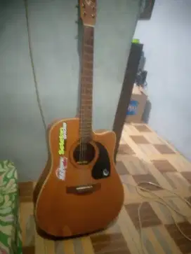 Gitar Yamaha Costome