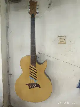 Gitar akustic Carlos