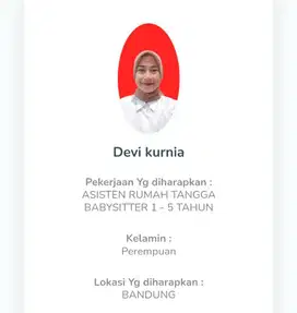 PENYALUR ASISTEN RUMAH TANGGA PULANG PERGI DAN BABYSITTER