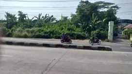 tanah darat di Pantura tulis batang