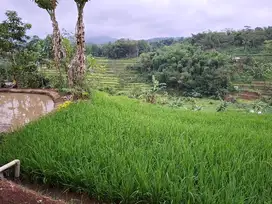 JUAL CEPAT TANAH SAWAH BANJARAN BANDUNG SELATAN