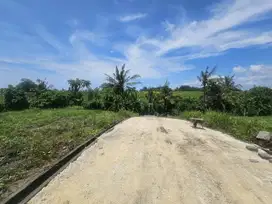 dijual tanah komersil kedungu tabanan