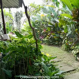 ID:F-880 Disewakan Rumah Ubud Gianyar Bali Dekat Pusat Ubud