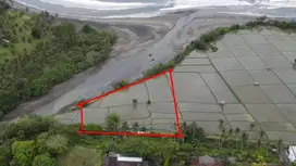 DIJUAL TANAH TEPI PANTAI MEDEWI JEMBRANA ZONA PINK WISATA