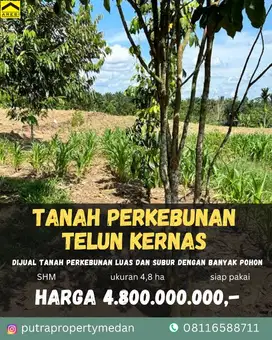 DIJUAL TANAH LUAS DAERAH TALUN KENAS