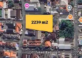 TANAH PREMIUM DI KAWASAN ELITE RENON DENPASAR BONUS RUMAH