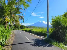 Dijual tanah murah   view sawah terasering dan dengan  sungai  di bali