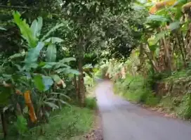 tanah 1 hektar di teluk betung bandar lampung