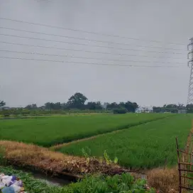 Tanah sawah 2067,5 m2 pinggir jalan bentakan Baki, Sukoharjo