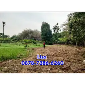 Di jual lahan 1,4 hektar harga 4 juta permeter nego Lokasi dijelupang