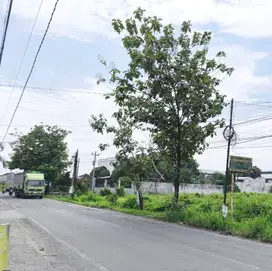 Tanah murah pinggir jalan raya akses truck besar dekat pintu Tol