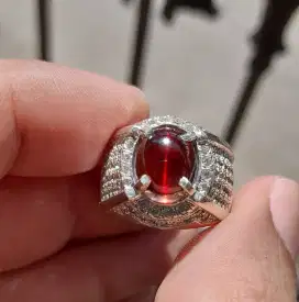 NATURAL CAT'S EYE GARNET SRILANKA (RARE ITEM)