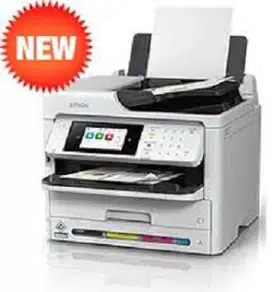 Printer Epson WF C5890