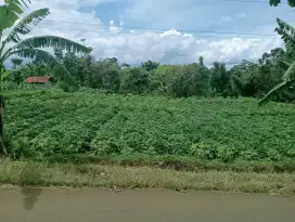 Tanah dijual murah pinggir jalan suasana asri