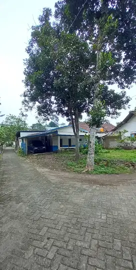 JUAL RUMAH ADEM DEKAT MUSHOLLA GARUM BLITAR