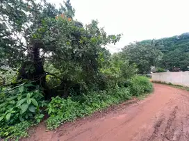 Tanah murah di Kuta Mandalika Lombok. Cocok untuk villa