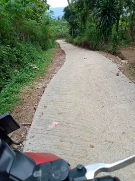 KEBUN PRODUKTIF CENGKEH , NANAS , MANGGIS DAN PISANG DI PERKAMPUNGAN