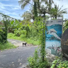 Dijual Cepat Tanah di Kawasan Pantai Saba Gianyar