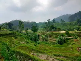 Tanah Sawah Dataran Tinggi Lereng Pegunungan Burangrang Luas 1433