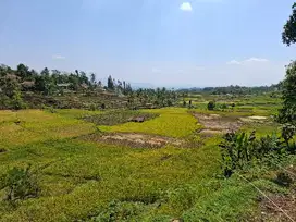 JUAL CEPAT TANAH SAWAH MURAH VIEW BAGUS BANJARAN BANDUNG SELATAN