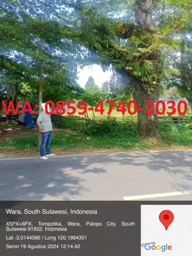 DIJUAL TANAH DIPINGGIR JALAN PALOPO