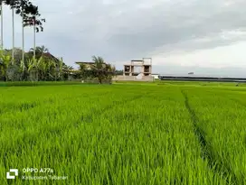 Tanah View Sawah Strategis di Kedungu Tabanan Bali, SHM Lengkap