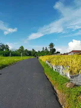 Sisa 2 Kavling Tanah SHM di Kedungu Bali, View Sunset Indah