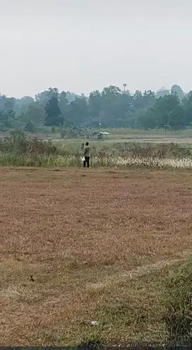 Dijual Cepat: Tanah 60 Ha Tiga Raksa, Tangerang