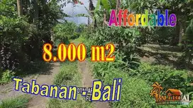 8,000 m2 Land for Sale in Pupuan Mostly Flat Contour