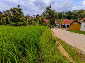 Dijual sawah produktif pinggir jalan air melimpah