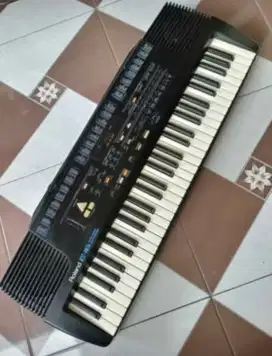 Roland E16 mulus