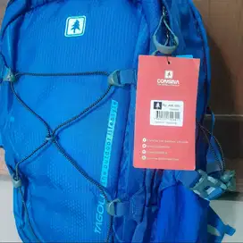 Tas consina tagolu