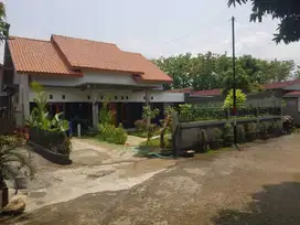 Jual cepat rumah asri siap huni di belakang pasar Sentolo