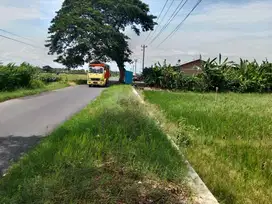 Sawah 1.900m² hook muka 22m jln DPU10m , 60m jln propinsi,sukoharjo