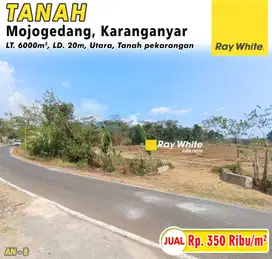 Tanah Pekarangan Zona Kuning di Mojogedang, Karanganyar