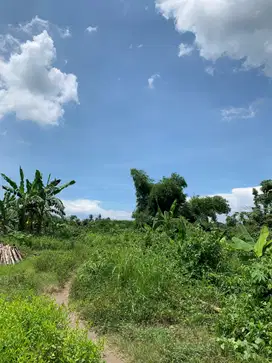 Tanah di Labulia dekat bypass Bandara Lombok