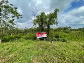 Dijual tanah 4 Hektar pinggir jalan Tanjung Api Api