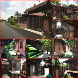 rumah homestay model jawa sangat nyaman dan asri moyudan