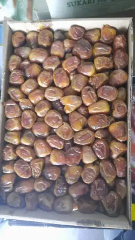 Jual kurma sukari bisa ecer